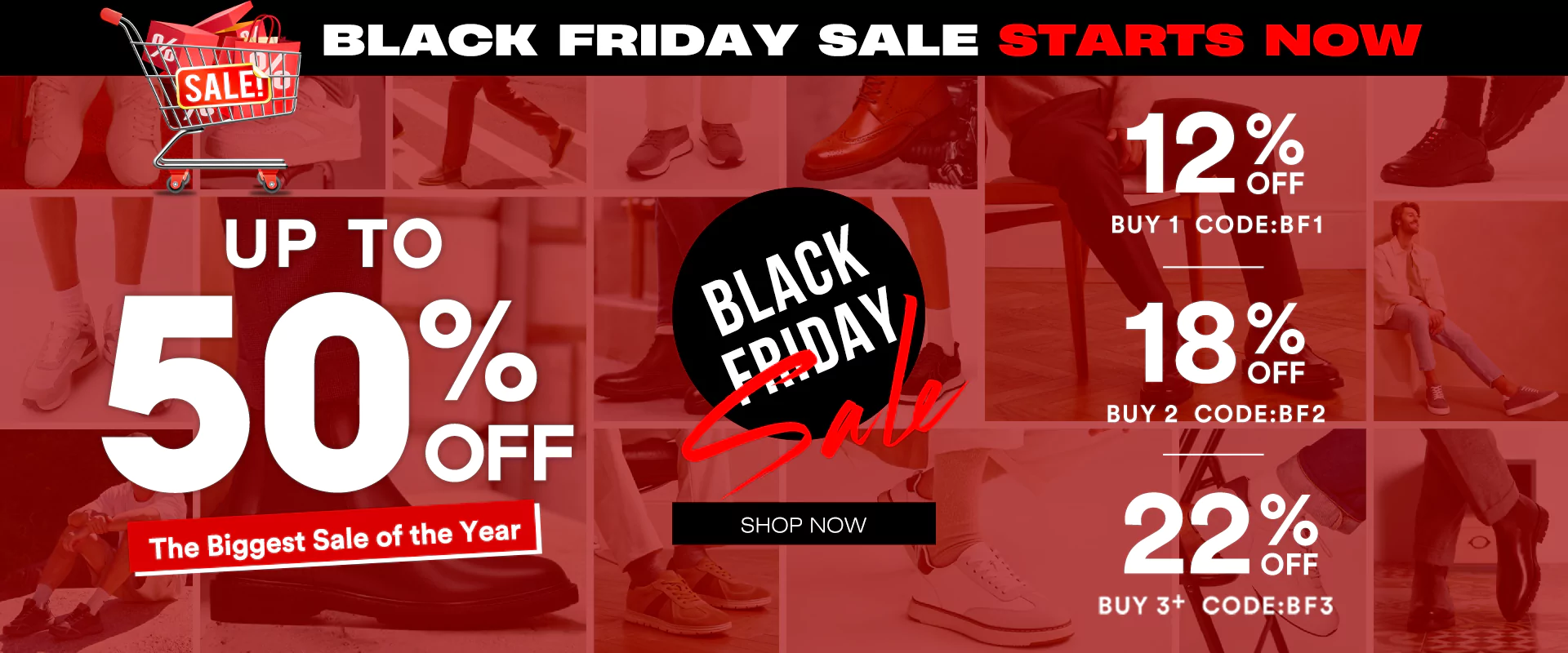 black friday Chamaripa 2025