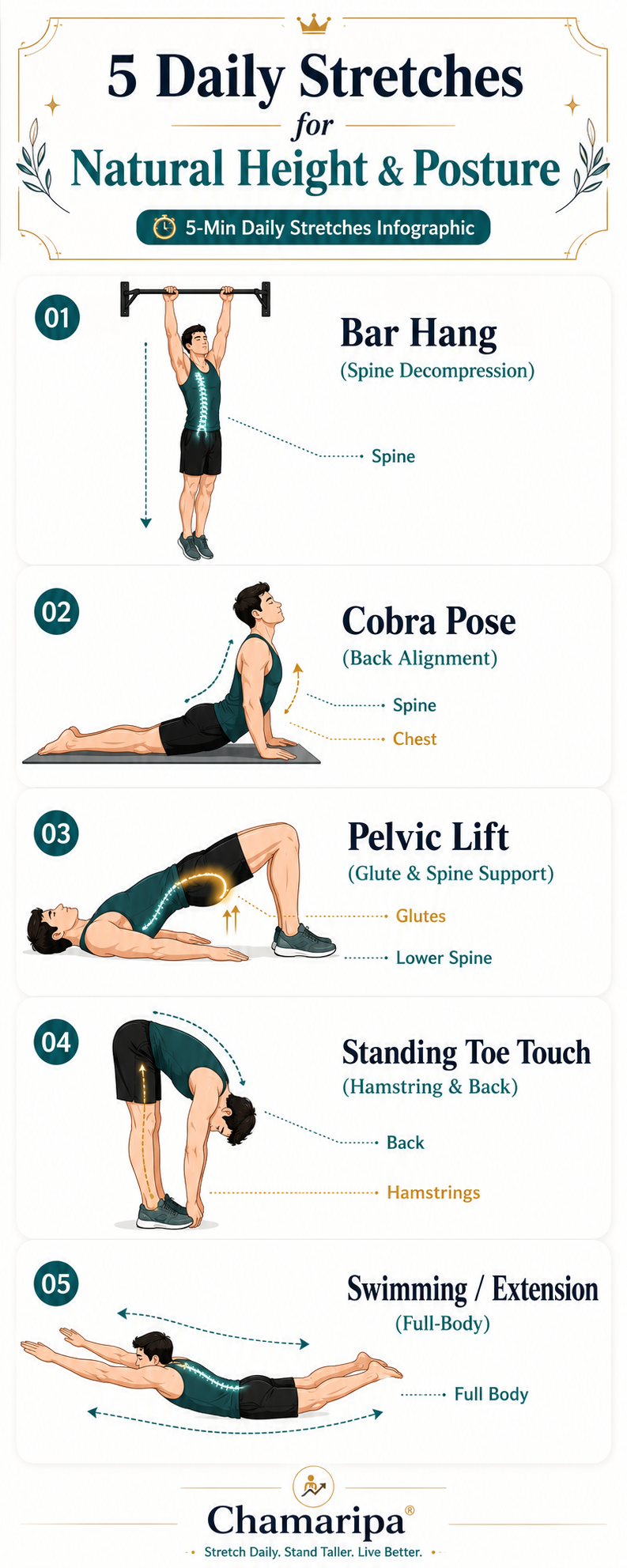 5 Steps Stretching Exercises to Maximize Height and Correct Posture