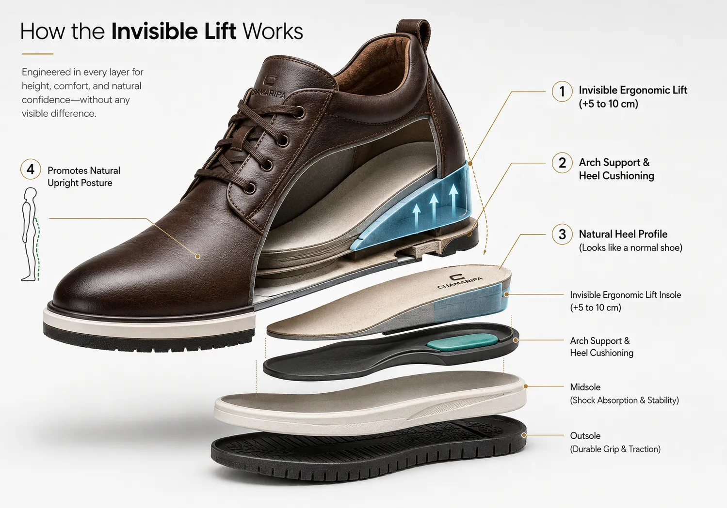 Chamaripa elevator shoe internal structure showing invisible ergonomic height increasing insole