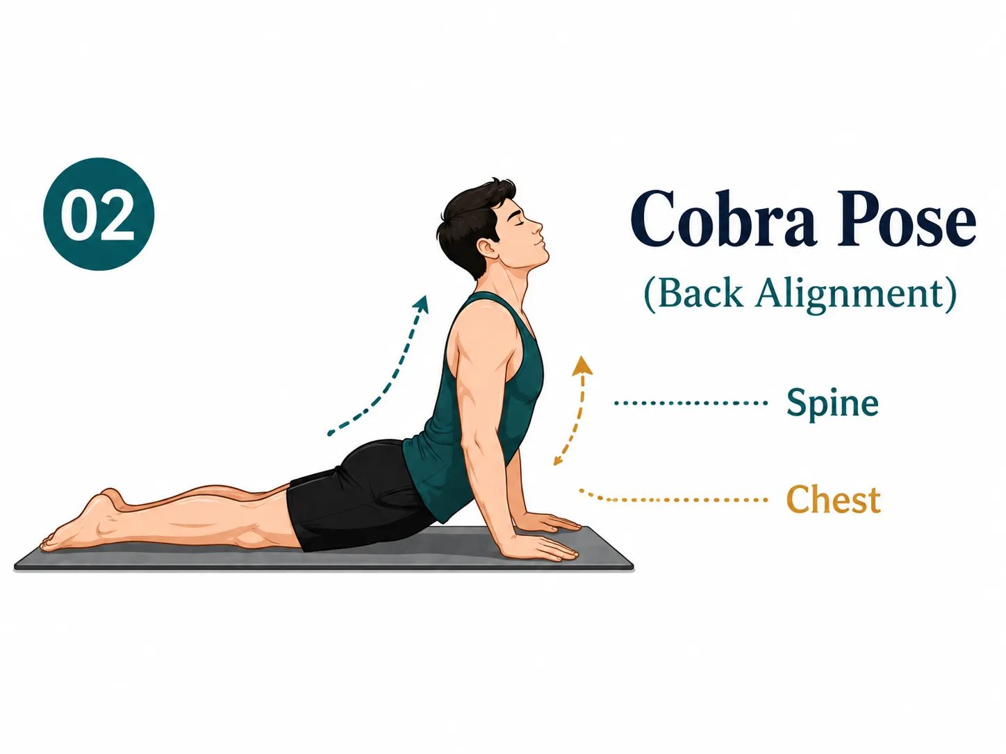 Cobra pose yoga stretch for spine alignment and chest opening