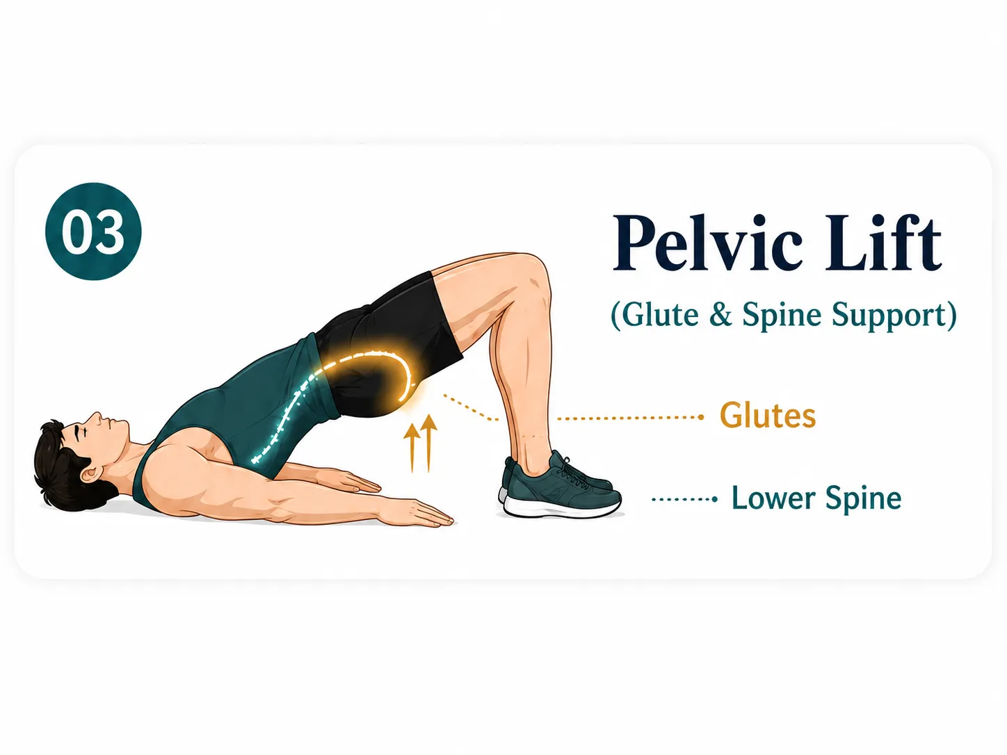 Pelvic lift exercise for lower back support and glute strengthening
