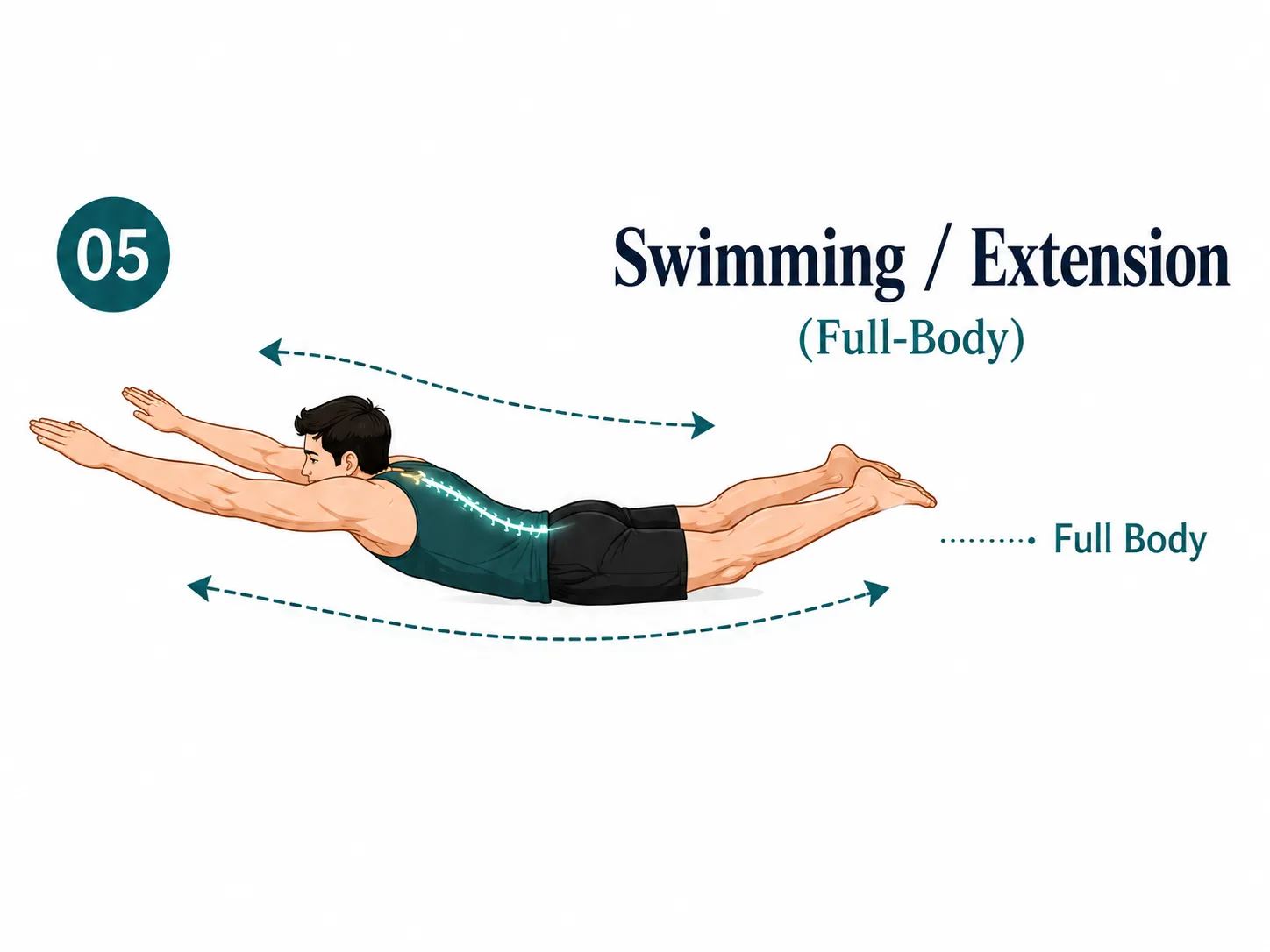 Prone full body extension exercise for natural height enhancement