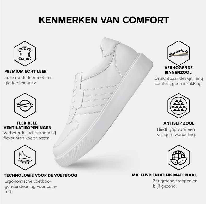 Dre groene plenen, één groene vse - BTL | Groen, Plenen, Gebouwen